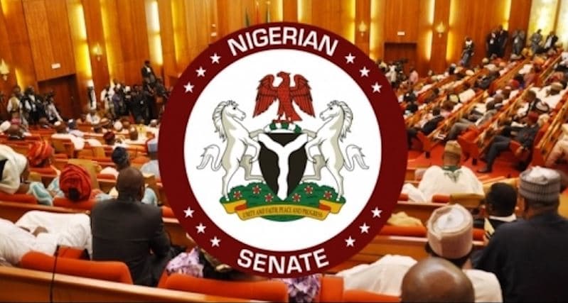 Senate Opens the Books — Then Closes the Door: Service‑Chief Screening Strikes a Delicate Balance